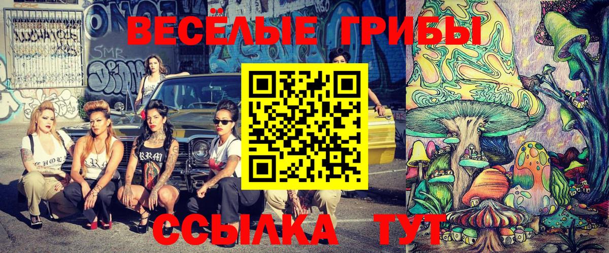 Галлюциногенные грибы ЛСД  Вход с VPN  Коммунар  Псилоцибиновые грибы мицелий 